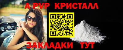 шишки Ставрополь