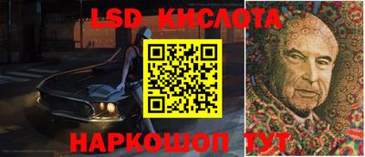 шишки Ставрополь