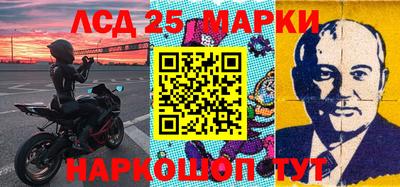шишки Ставрополь