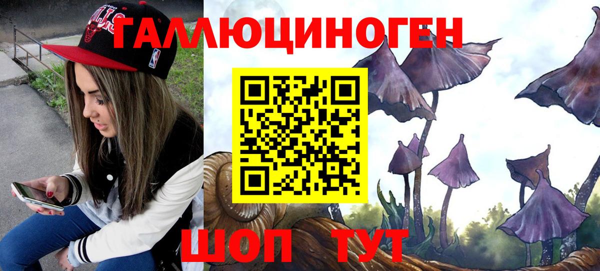Осинники  Псилоцибиновые грибы мицелий  как найти   Вход с VPN  Псилоцибиновые грибы MAGIC MUSHROOMS 