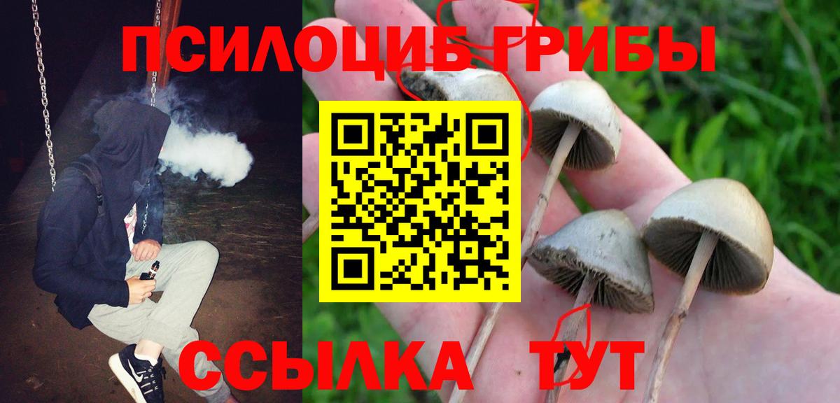 Галлюциногенные грибы мицелий Осинники